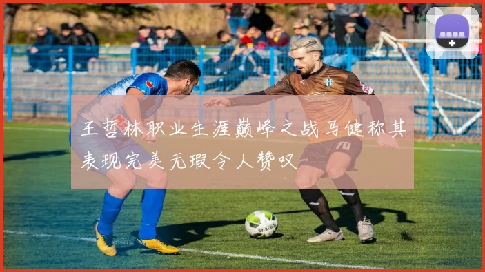 王哲林职业生涯巅峰之战马健称其表现完美无瑕令人赞叹