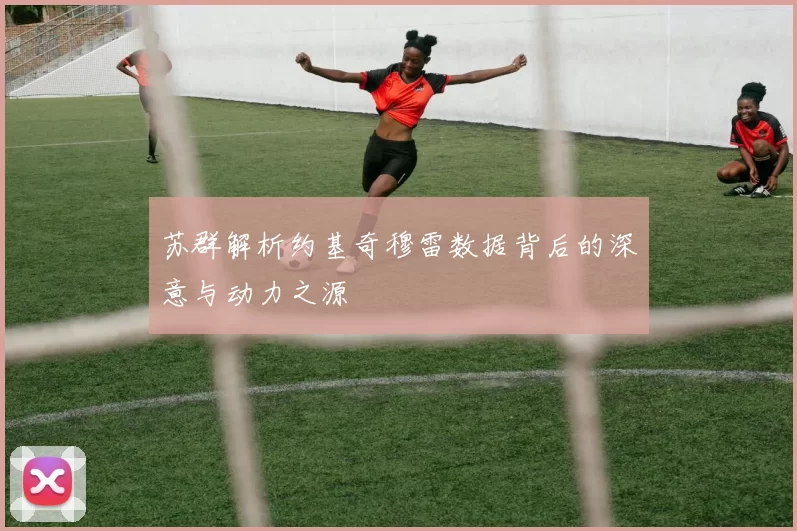 苏群解析约基奇穆雷数据背后的深意与动力之源
