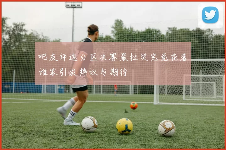 吧友评选分区决赛最拉奖究竟花落谁家引发热议与期待